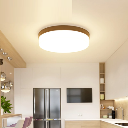 6W 9W 13W 18W 24W 36W 48W LED Round Panel Light Surface Mounted leds ceiling down lampada led lamp