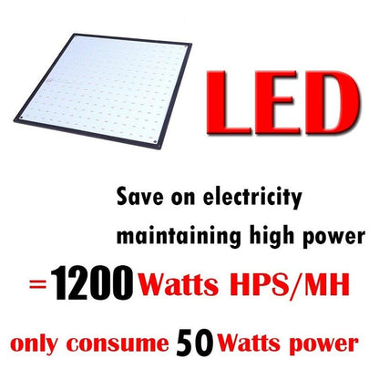 3pcs LED Grow Light 1000W Lamp For Plants Full Spectrum Phyto Lamp Fitolampy Indoor Herbs Light For Greenhouse Led Grow Tent Box