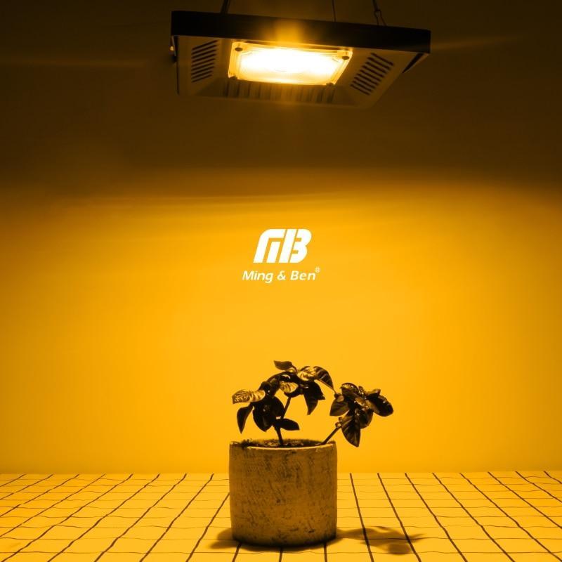 Led Floodlight AC Phyto Grow Lamp IP65 30W 50W 100W 150W Full Spectrum Outdoor Lighting Wall Lamp LED Flood Light