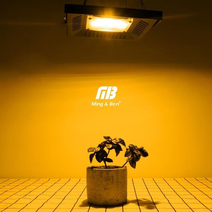 Led Floodlight AC Phyto Grow Lamp IP65 30W 50W 100W 150W Full Spectrum Outdoor Lighting Wall Lamp LED Flood Light