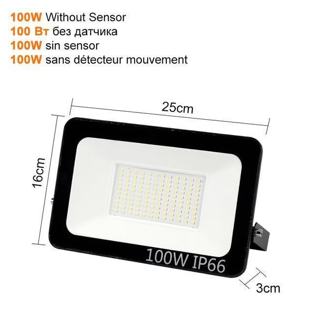 PIR Motion Sensor LED Flood Light 10W 30W 50W Outdoor Floodlight Waterproof Led Spotlight for Garden Wall Street Light