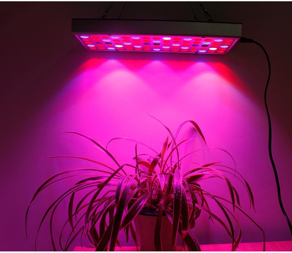 Growing Lamps LED Grow Light 25W 45W Full Spectrum Plant Lighting Fitolampy For Plants Flowers Seedling Cultivation