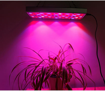 Growing Lamps LED Grow Light 25W 45W Full Spectrum Plant Lighting Fitolampy For Plants Flowers Seedling Cultivation