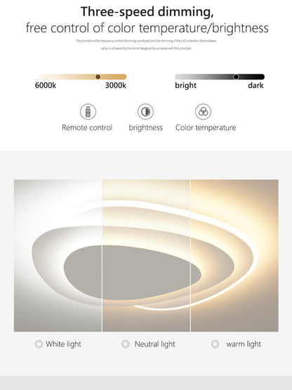 New Arrival Minimalist Oval Smart Ceiling Light | Artistic Lighting for Living Room & Master Bedroom