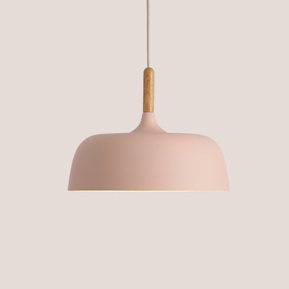 Nordic LED Modern Pendant Lights Living Room Home Decoration Iron Kitchen Dinning Room Hanging Lamps