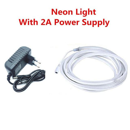 12V Led Strip Waterproof Ribbon Led Neon Light IP67 White /Warm White Red Blue Led Tape Light 2835 120Led/m Stage modeling light
