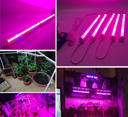 LED growing lamp for plants and aquarium SMD5730 660nm 455nm spectrums light be used for seeding flower vegetable potted plants