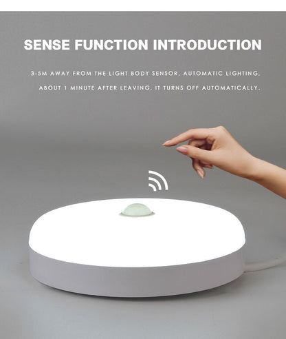 Motion Sensor LED Ceiling Light 30W 36W PIR Surface Mounted Lamp Indoor Lighting Home Kitchen Balcony Entrance Square IP65