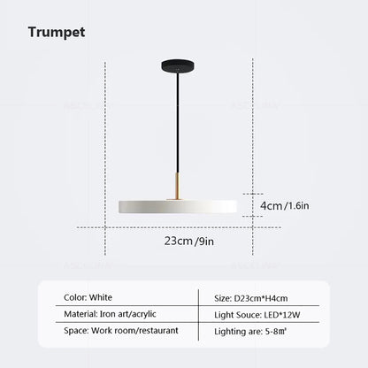 Nordic LED Pendant Light Macaron Disc LED Pendant Lamp Warm Light Warm Light Decoration Fixtures Acrylic
