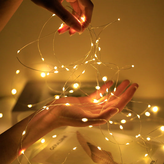 Fairy Lights String Button Battery Light Home Decor Living Bedroom Garden Christmas Wedding New Year Ornament Garland