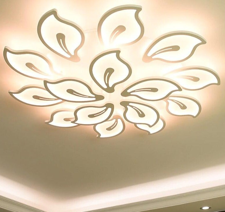 Modern Acrylic Design Ceiling Lights Bedroom Living Room Ceiling Lamp LED Home Lighting Ceiling Light Lanterns