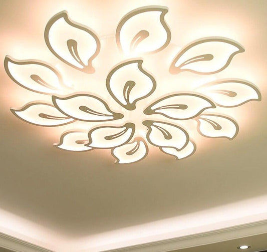 Modern Acrylic Design Ceiling Lights Bedroom Living Room Ceiling Lamp LED Home Lighting Ceiling Light Lanterns