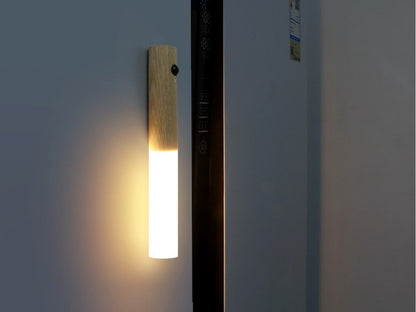 Intelligent Human Body Induction Small Night Light LED Household Charging Corridor Induction Light