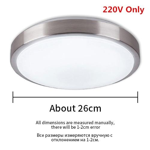 Modern LED Ceiling Light Lighting Fixture Lamp Surface Mount Living Room Bedroom Bathroom Remote Control Home Decoration Kitchen