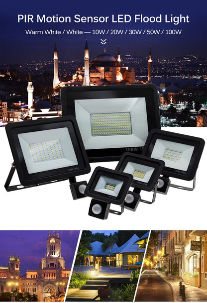 Motion Sensor LED Floodlight  Waterproof Spotlight 10W 30W 50W 100W Flood Light Outdoor Lighting for Garden Street Wall