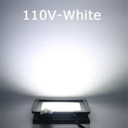 10W 20W 30W 50W 100W Induction Led flood light With Adjustable PIR Sensor floodlight Street Square Outdoor Lighting