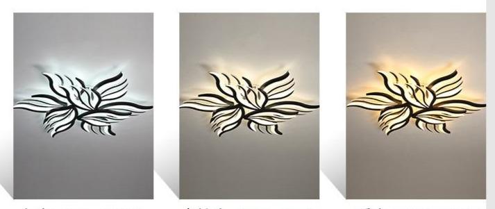 New Ceiling Lamp Modern Simple Acrylic Living Room Lamp
