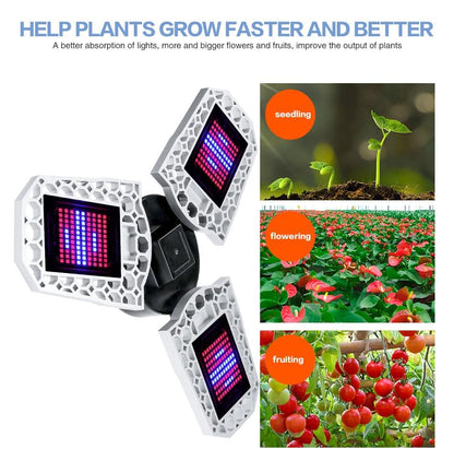 LED Phyto Lamp E27 100W 200W 300W Full Spectrum LED Grow Light  Horticole For Indoor Seedlings Flower Grow Tent Box