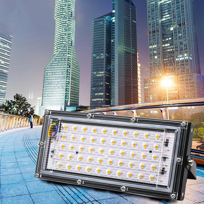 Led Floodlight 50W 100W Outdoor led Spotlight Full Spectrum LED Grow Light For Plants Tent Flower Seeding Indoor Grow