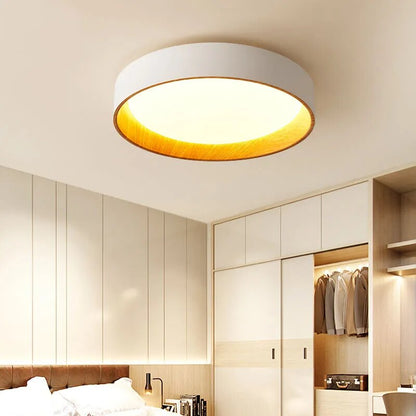 Nordic LED Ceiling Chandelier for Living Dining Room Balcony Double Bedroom Pendant Lamps Home Decor Indoor Lighting Fixture