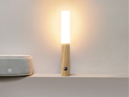 Intelligent Human Body Induction Small Night Light LED Household Charging Corridor Induction Light
