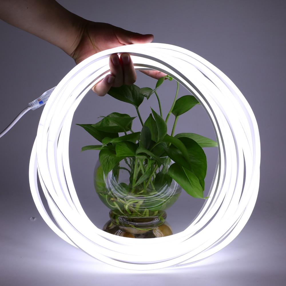 Neon Flex Led Strip Light AC220V SMD2835 Waterproof Flexible Lighting Power Plug Outdoor Festival Decoration Strips Neon Lights-2
