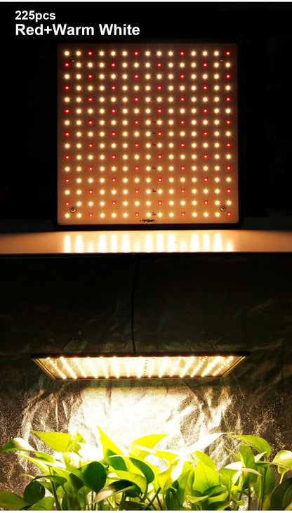 3500K Grow Tent Lamp 1000W LED Grow Light Panel Phyto Lamp For Plant Full Spectrum Led Lights For Indoor Growing Flowers Herbs