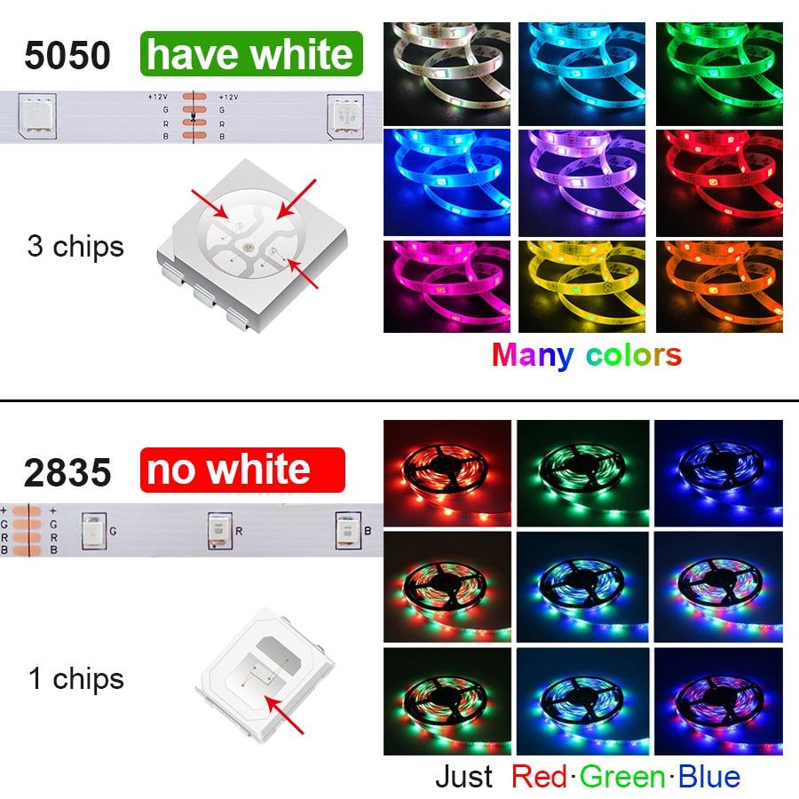 5050 SMD Bluetooth LED Strip Lights 30M 20M RGB LED LightFlexible Ribbon Waterproof Tape Diode DC 12V Bluetooth Control-2