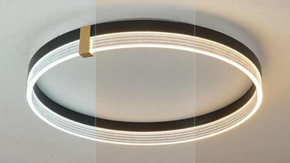 Simple Modern Light In The Bedroom Nordic Luxury Small Living Room Lamp Creative Led Ceiling Lamp