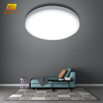 LED Panel Lamp LED Ceiling Light 48W 36W 24W 18W 13W 9W 6W Down Light Surface Mounted Modern Lamp For Home Lighting