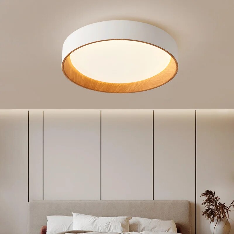 Nordic LED Ceiling Chandelier for Living Dining Room Balcony Double Bedroom Pendant Lamps Home Decor Indoor Lighting Fixture