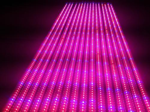 Full Spectrum LED Grow Lamp USB LED Plant Grow Strip 2835 SMD 0.5m 1m 2m Fitolampy Grow Lights for Indoor Plant Flower Seedling