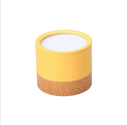 LED Ceiling Lights For Bedroom  Surface Mounted Modern Ceiling Lamp Living Room Bedroom Porch Modern House Lighting Fixture