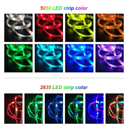 5m10m RGB Led Strip Light SMD5050 2835 Bluetooth Led Lights Tape Flexible Non waterproof 12V LED Strip Ribbon for Home Christmas