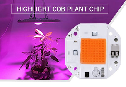100W 70W 50W Welding Free LED COB Chip for Plants Growing Grow Tent  LED Grow Light Full Spectrum LED Phyto Lamp
