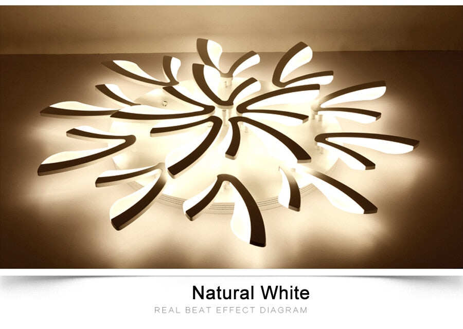 Acrylic Modern Led Ceiling Lights For Living Room Bedroom Dining Home Indoor Lamp Lighting Fixtures Luminaria Lampada