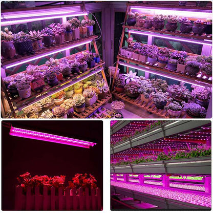 LED Grow Lights 500W Full Spectrum Growing LED Lamp Lighting 50cm Double tube plant chandelier for Hydroponic Indoor Plants