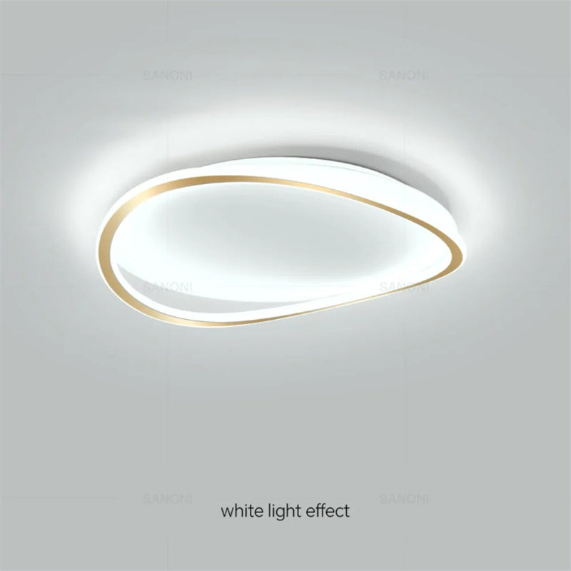 Modern LED Ceiling chandelier Lamp For Living Dining Room Bedroom Children's Room Study Hall Home Decor Lighting Fixture Lustre