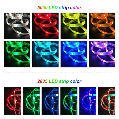 5050 SMD Bluetooth LED Strip Lights 30M 20M RGB LED LightFlexible Ribbon Waterproof Tape Diode DC 12V Bluetooth Control-2