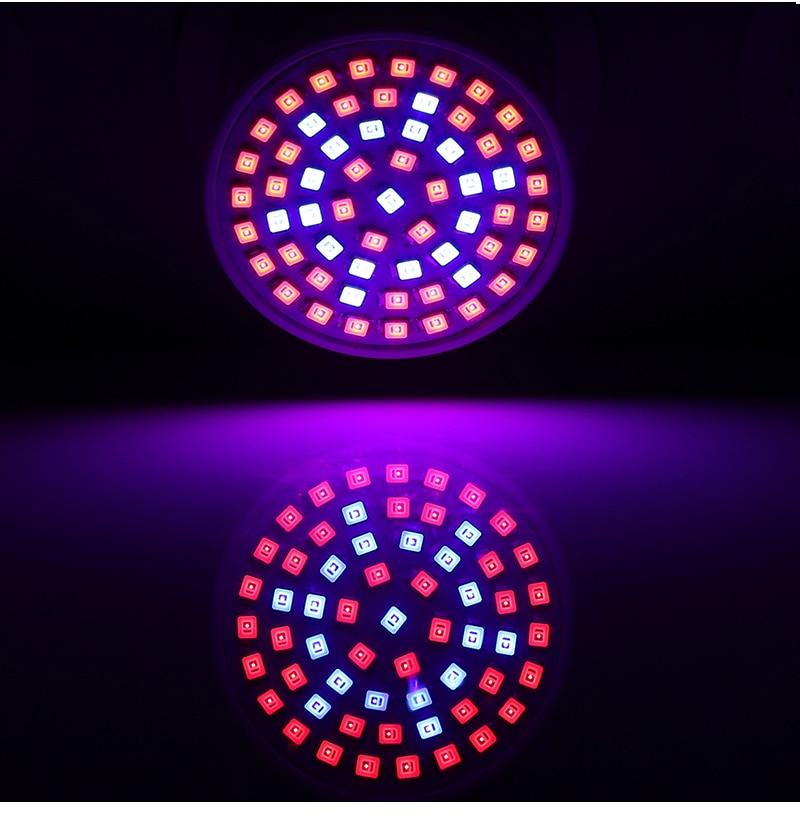 LED Grow Light Full Spectrum Phytolight Phyto Lamp E27 PhytoLamps For Indoor Flowers Vegetables Plant Tent Box Seedlings Seeds