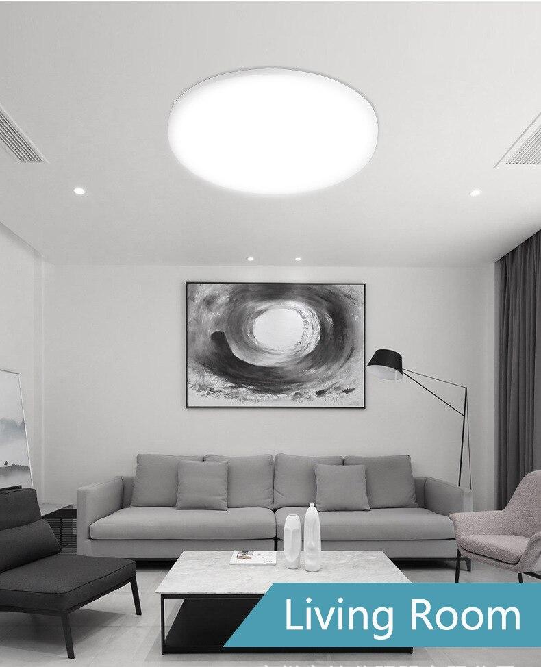 Led Ceiling Light  30W Home Lighting Ceiling Lamps Modern Lamp for Living Room Dinning Room Bathroom Fixture