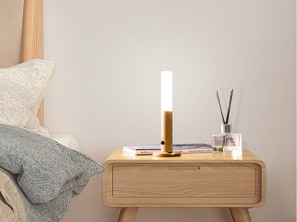 Intelligent Human Body Induction Small Night Light LED Household Charging Corridor Induction Light
