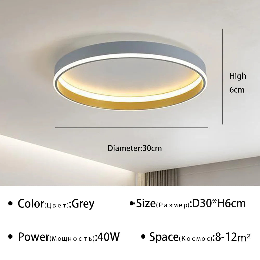 Modern LED Ceiling Light Chandelier For Bedroom Living Dining Room Indoor Home Decor Light Fixture