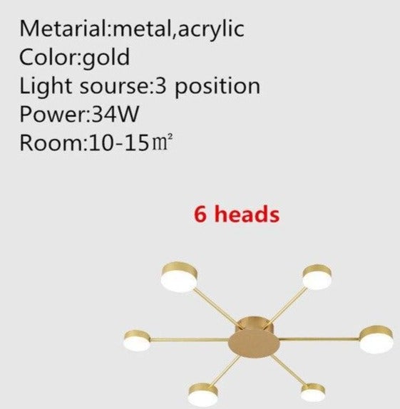 Europe Ceiling Lamp Contracted Modern 16 heads LED Gold Indoor Light Restaurant Living Room Bedroom Decoration Lighting Fixture