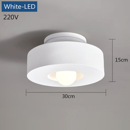 30CM Simple Ceiling Lamp Modern LED Resin Ceiling Light Porch Corridor Study Round Indoor bedroom ceiling Lighting