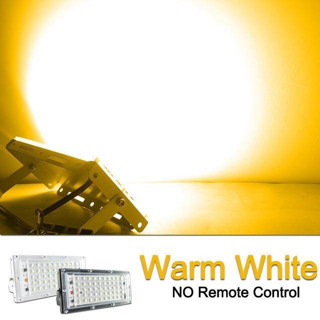 2pcs LED Flood Light 50W RGB Led Floodlight Remote control COB chip LED street Lamp ACwaterproof IP65 outdoor Lighting