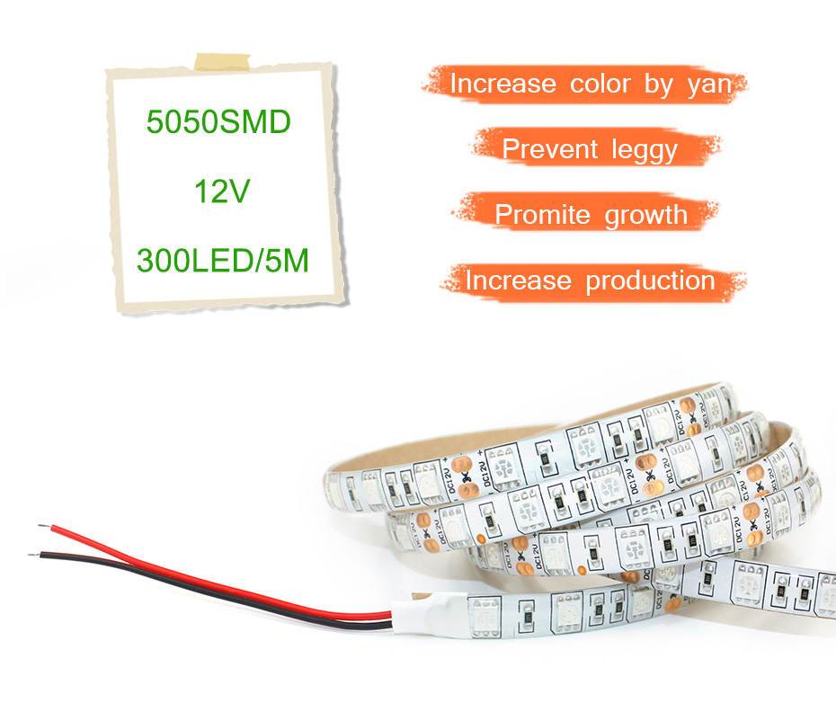 Plant Grow lights 1m 2m 3m 4m 5m Waterproof Full Spectrum LED Strip Flower phyto lamp Red blue 4:1 for Greenhouse Hydroponic