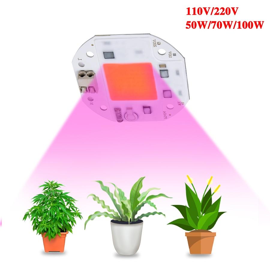 100W 70W 50W Welding Free LED COB Chip for Plants Growing Grow Tent  LED Grow Light Full Spectrum LED Phyto Lamp