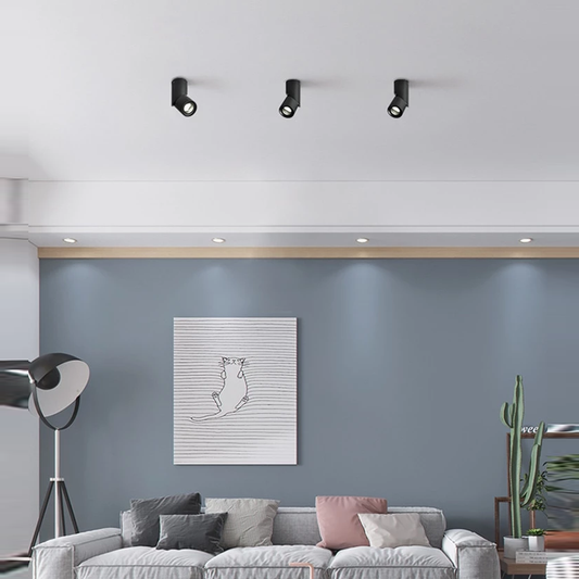 Dimmable Rotating LED Downlights 10W15W20W COB LED Ceiling Spot Lights LED Wall Lamp Warm Cold White Indoor Lighting