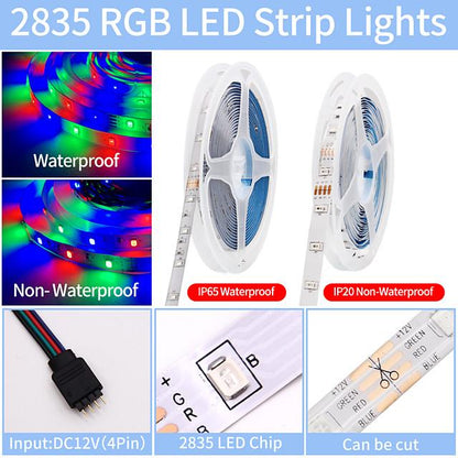 5M 10M 15M 20M LED Strip Lights RGB DC12V LED Lights Flexible Color Change SMD 2835 with IR Remote Controller and 100-240V Adapter for Home Bedroom Kitchen TV Back Lights DIY Deco